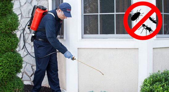 Söğütlü Karınca İlaçlama böcek ilaçlama ve haşere kontrolü — ilaclama-tr.com
